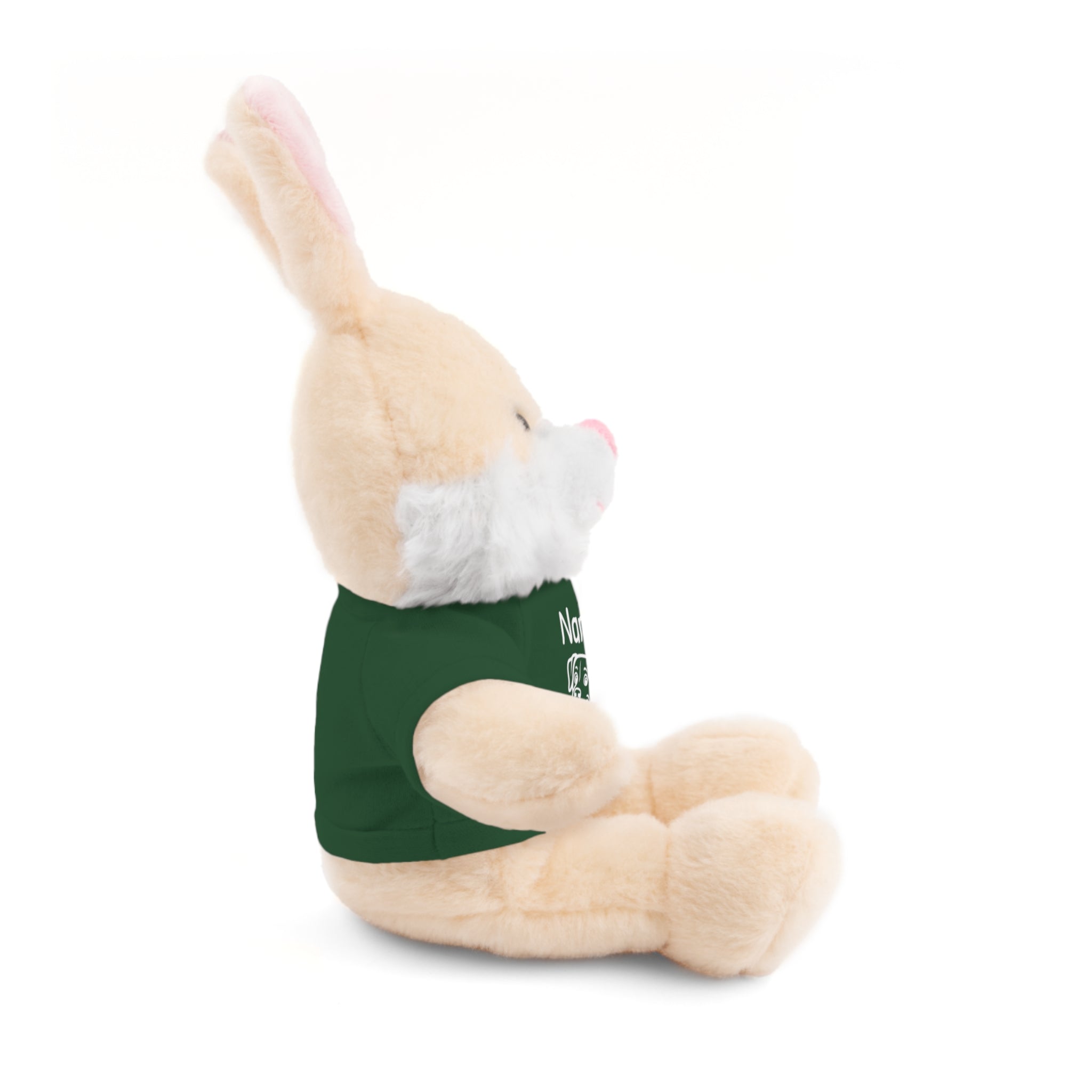 Personalized Stuffed Bunny for Kids - Juniper's Bunny